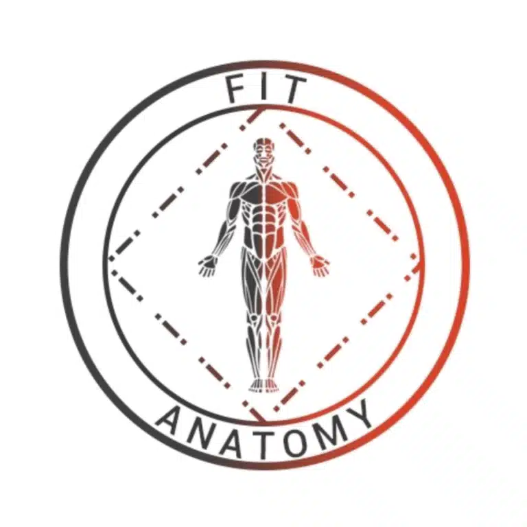 Fit Anatomy